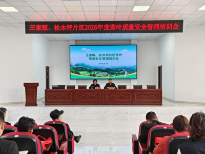 【中国食品报网】干货送上门，助茶农开园即“开源”