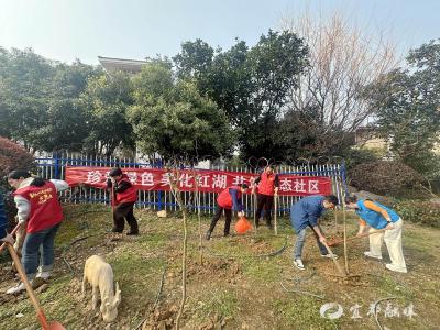 以红护绿 这片“先锋林”点亮红湖社区