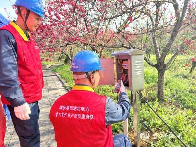 【中国新闻网】宜都供电：“电力红”护航“花经济”