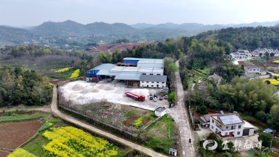 【宜业在乡】从销售精英到返乡创业者 李龙健在家乡蹚出“共富路”