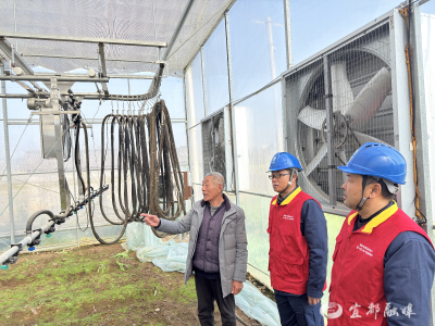 春耕正当时，电力护航“绿意满棚”