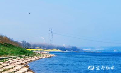 1.5公里黄金花廊，在中坪村遇见春天的浪漫