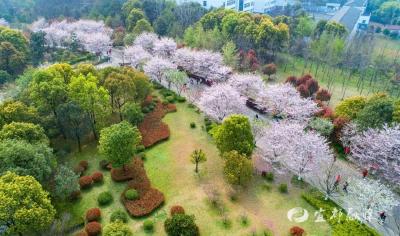 繁花专线，赴一场宜都春日之约