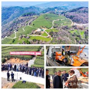 潘家湾开展茶园春季管理暨农机推广技术培训