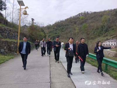 走看听议，联村共建取“振兴真经”