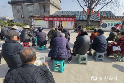 姚家店镇织密柑橘“防控网”