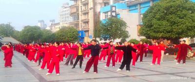 280名太极骨干齐聚 宜都新编13式燃动春日