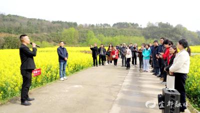 中国农科院油料作物研究所“油菜产业关键技术研究与应用示范”项目推进会在宜都召开