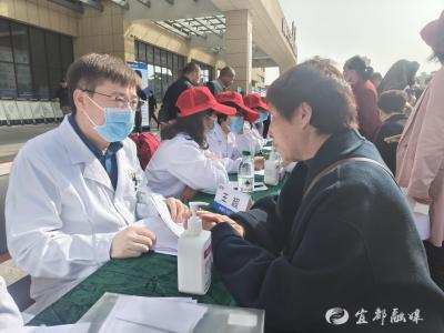 凝聚侨界力量，赋能健康宜都