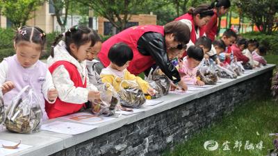 走出教室，走进小区：一次属于孩子们的“绿色行动”