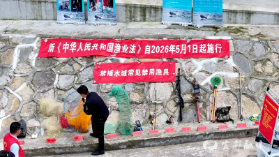 碧水共守 绿岸同筑