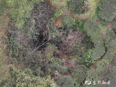 “空天地”一体，宜都溶岩洞调查用上“黑科技”