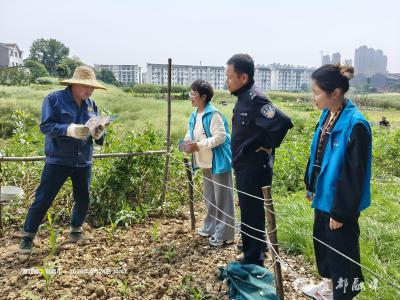 禁毒宣传进田间 筑牢乡土“防毒墙”