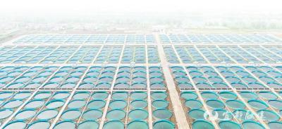 生态画卷里的“世界鲟都”