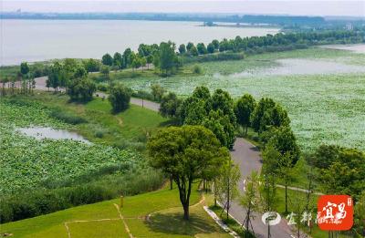 “明珠”重生记 ——宜昌三湖蝶变绘就长江生态底色