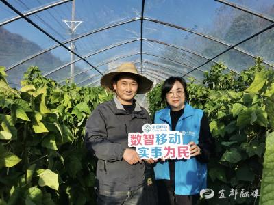 “蔬”香门第迈入数字化时代