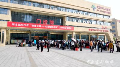 侨界医疗专家来宜都义诊