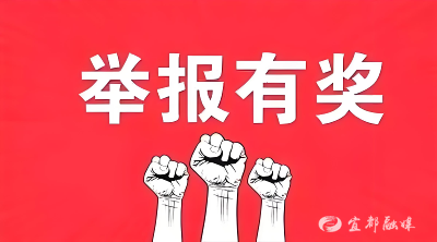 事关网络餐饮！举报有奖！