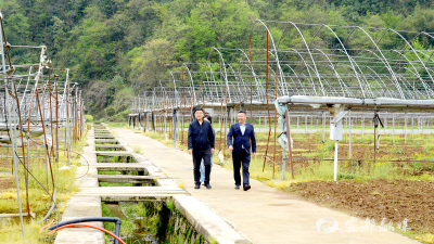 【宜业在乡】杜永军：田园逐梦 他在家乡黄土地上建起“数字菜园”