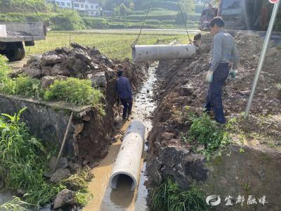 疏通田间“堵点” 完善农田排水“最后一米”
