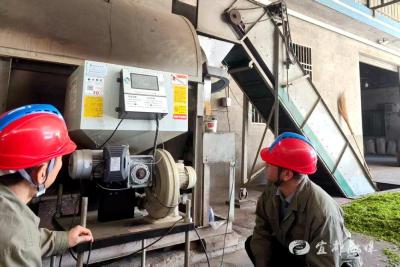 一抹“电力蓝”，守护春日“金叶”香