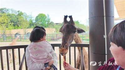 【三峡日报】图片新闻