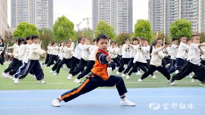 陆逊中小学举办第九届运动会