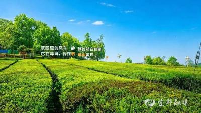 小众秘境！来宜都石羊山赴一场山野之约 