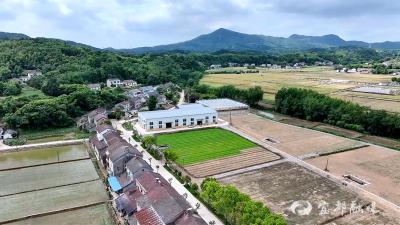 松木坪镇：集中育秧4.5万盘 供2200亩稻田移栽