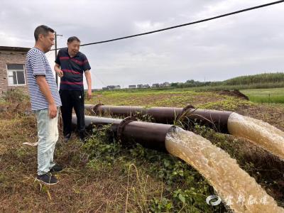 疏通供电脉络，给农田装上“排水加速器”