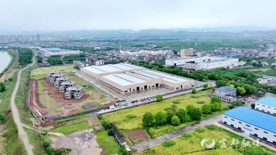 楚川智能产业园：“腾笼换鸟”焕发新动能