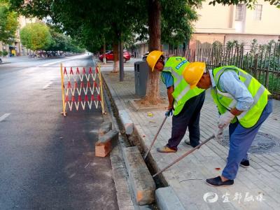 用“绣花功”修好市民脚下路
