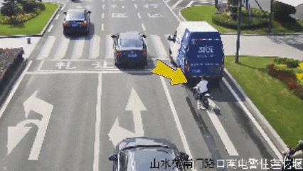 宜都：这条gai“最靓的仔”成功引起了蜀黍的注意……