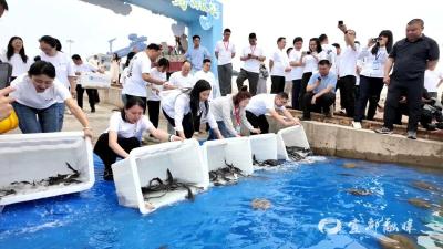 宜都增殖放流2600尾中华鲟