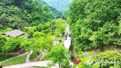荒谷蝶变记（上）：黄泥冲里长出“归园田居”