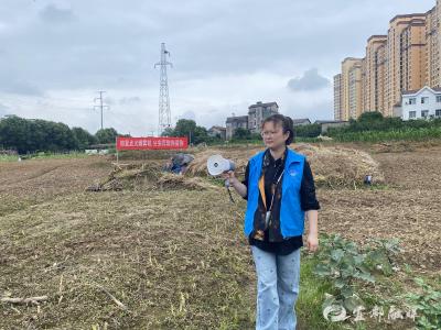 秸秆禁烧正当时 多措并举护蓝天