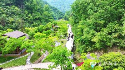 宜昌宜都：方寸荒坡，如何化作诗意营地？