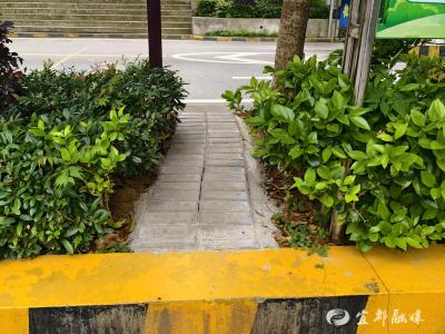 “抄近路”变成“暖心路”