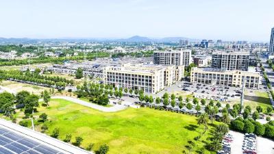 闲地生金 宜都216亩沉睡土地“长”出产业森林