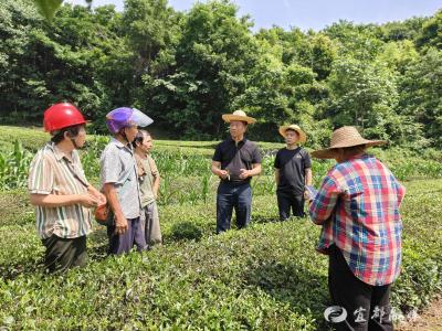 别愁！专家来了，田间地头开“处方”