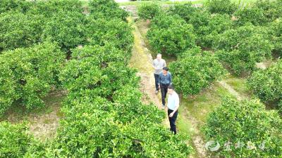 【科技工作者】曹诗红：深耕田间三十载 以植保科技助农增收