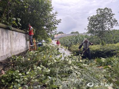 村民自发加入，共建平安道路