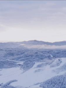 【知音湖北·南国冰雪季】逃离喧嚣，奔赴绿葱坡， 邂逅专属你的风花雪月！