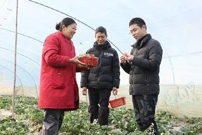 恩施巴东：优化市场环境奏响发展温暖曲