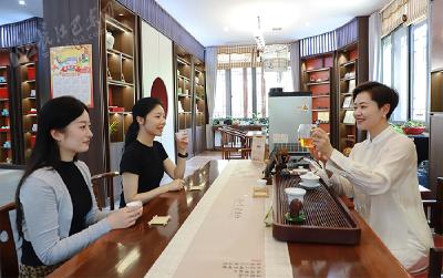 她把家乡的山水装进了茶杯——记恩施硒茶推广大使万红