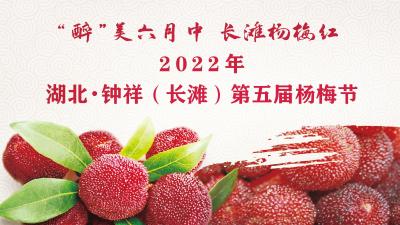 直播 | 2022年湖北·钟祥（长滩）第五届杨梅节