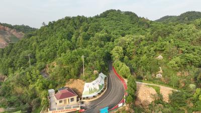 “十里红道”十里景  恰似彩带舞新颜