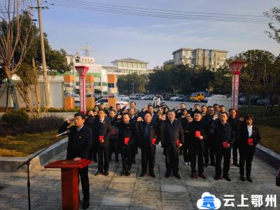 维护宪法权威 繁荣法治文化 华容区举行宪法宣誓仪式