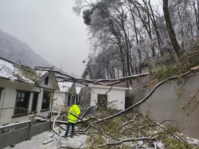 人保财险鄂州市分公司：全力做好雨雪冰冻天气保险保障服务