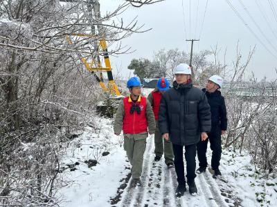 “政警企”联合巡检战冰雪保供电